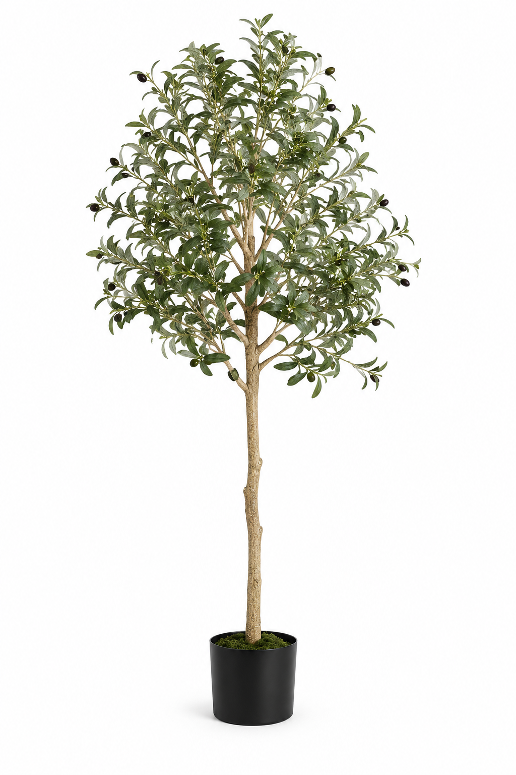Artificial Olive Tree – 5FT & 6FT Faux Potted Tree for Living Room, Entryway & Home Decor