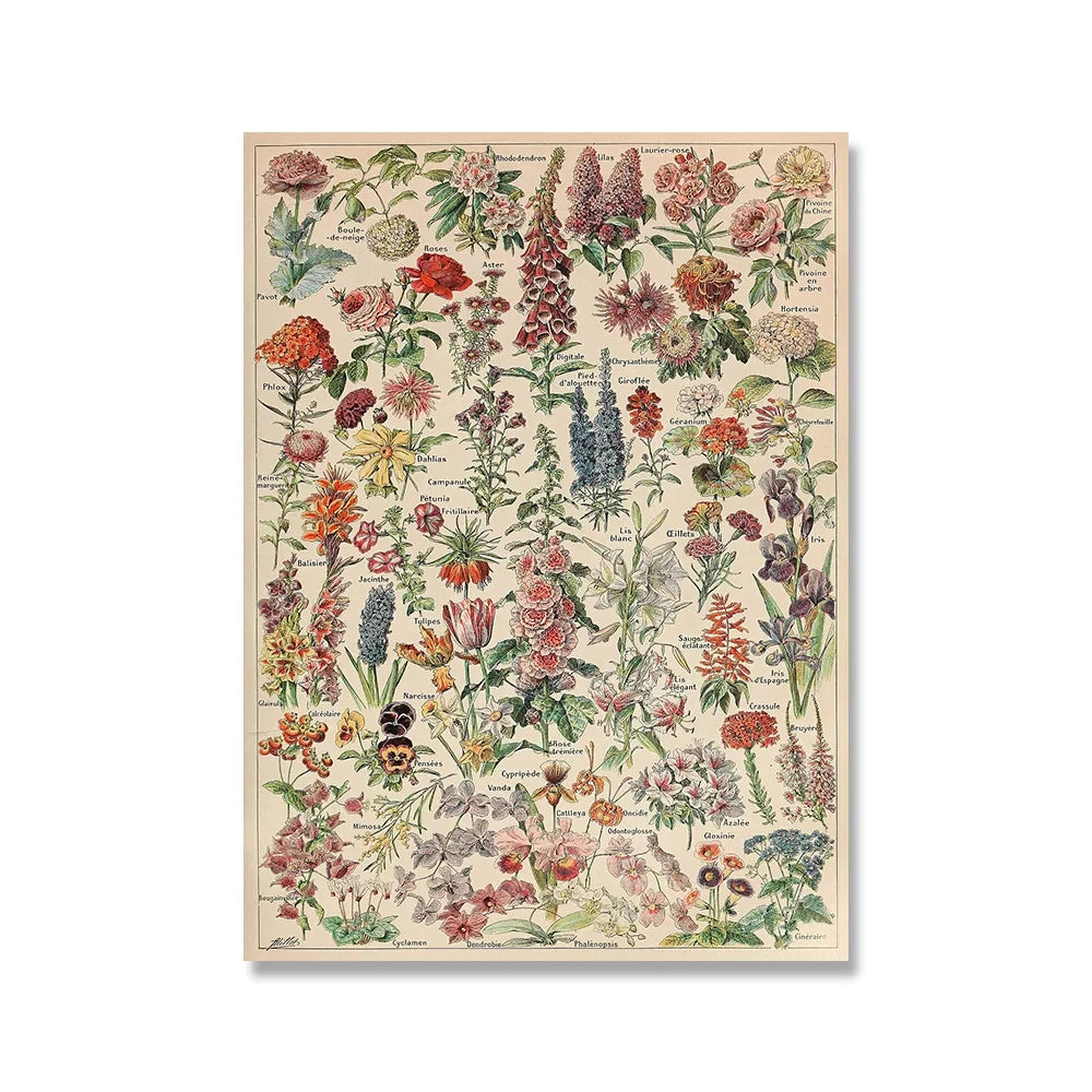 Vintage Botanical Encyclopedia Print — Mushrooms, Herbs & Trees