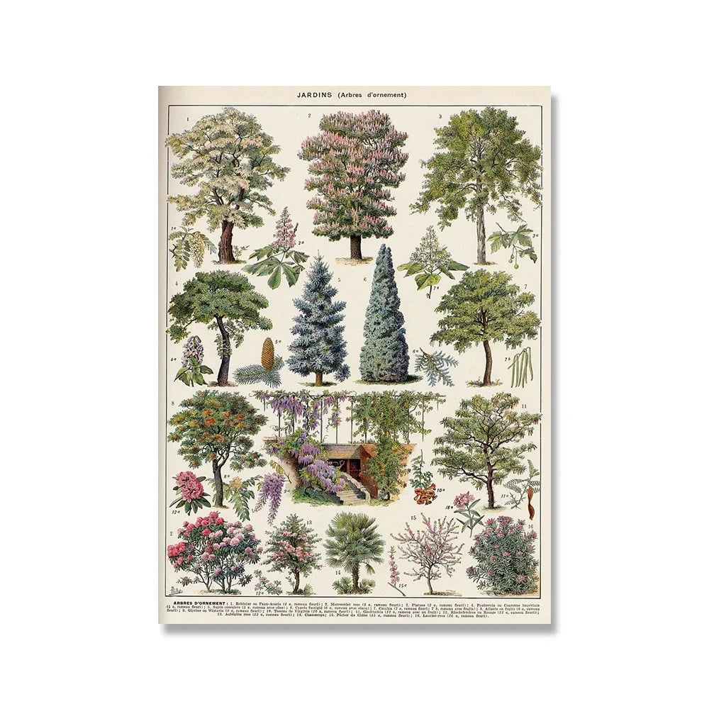 Vintage Botanical Encyclopedia Print — Mushrooms, Herbs & Trees