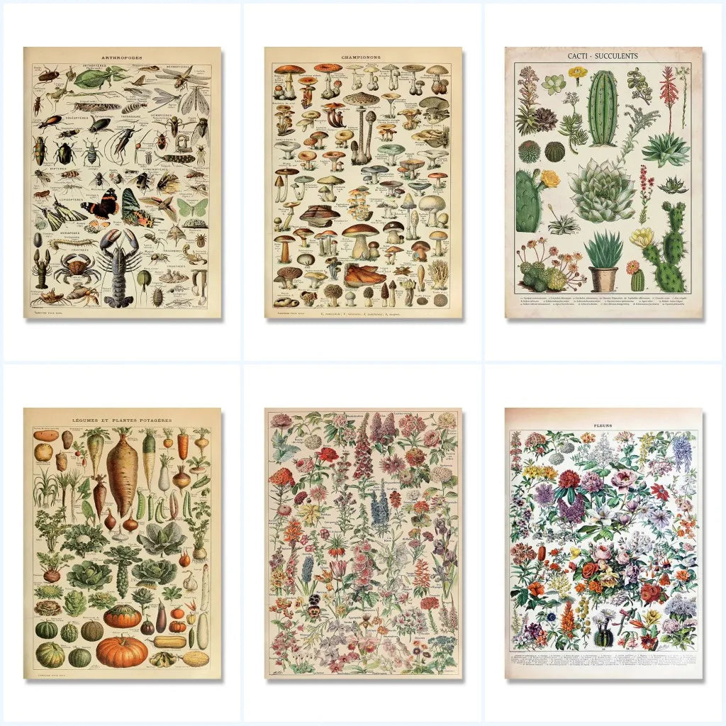 Vintage Botanical Encyclopedia Print — Mushrooms, Herbs & Trees