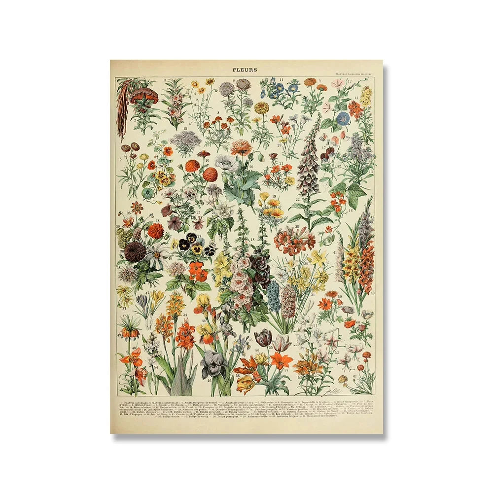 Vintage Botanical Encyclopedia Print — Mushrooms, Herbs & Trees