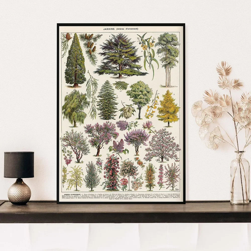 Vintage Botanical Encyclopedia Print — Mushrooms, Herbs & Trees