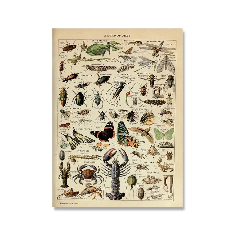 Vintage Botanical Encyclopedia Print — Mushrooms, Herbs & Trees