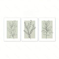 Nordic Botanical Line Art Trio — Neutral Sage Wall Prints