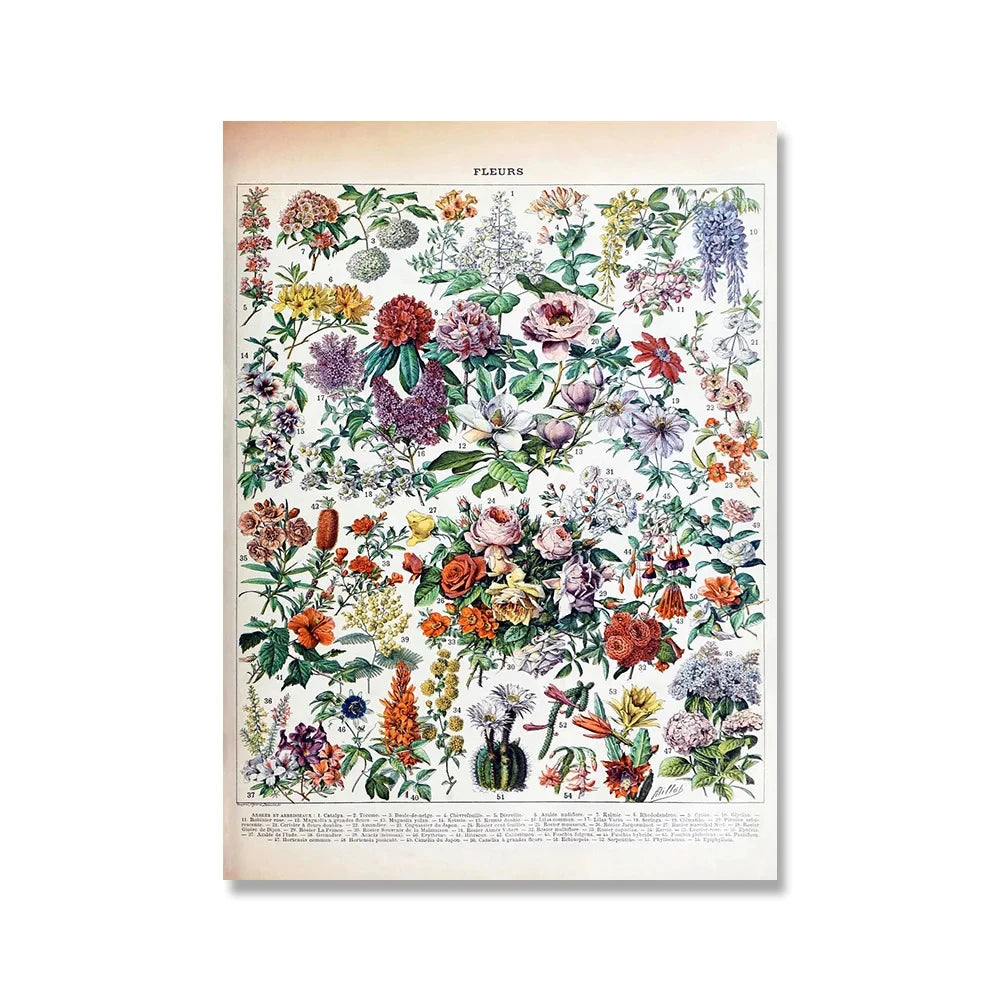 Vintage Botanical Encyclopedia Print — Mushrooms, Herbs & Trees