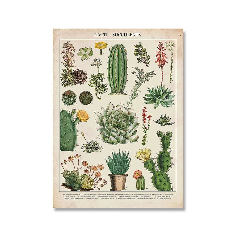 Vintage Botanical Encyclopedia Print — Mushrooms, Herbs & Trees