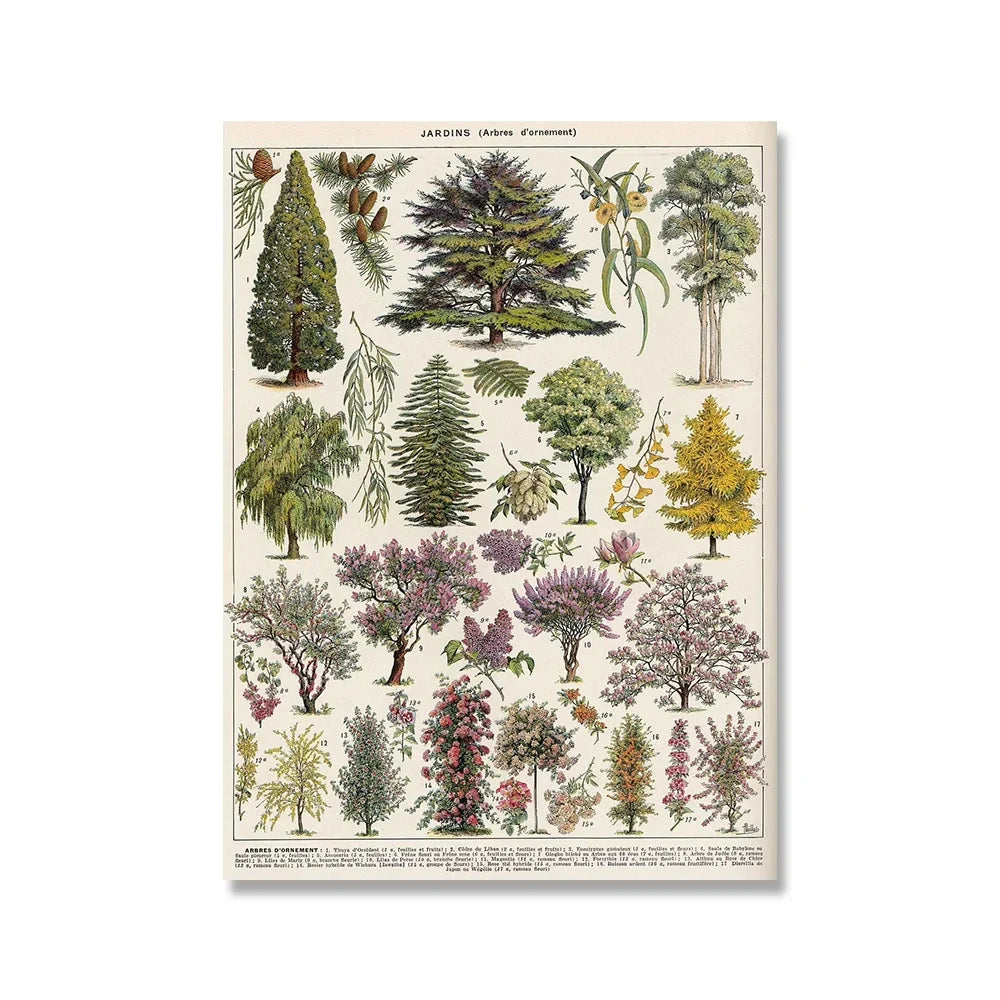 Vintage Botanical Encyclopedia Print — Mushrooms, Herbs & Trees