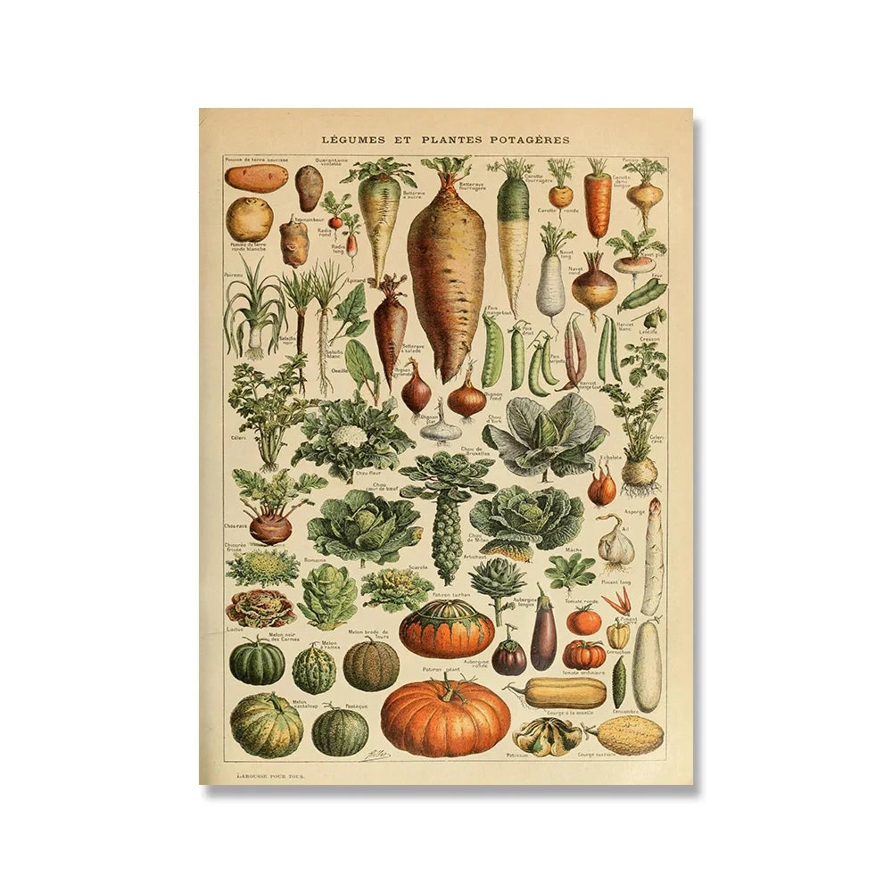 Vintage Botanical Encyclopedia Print — Mushrooms, Herbs & Trees