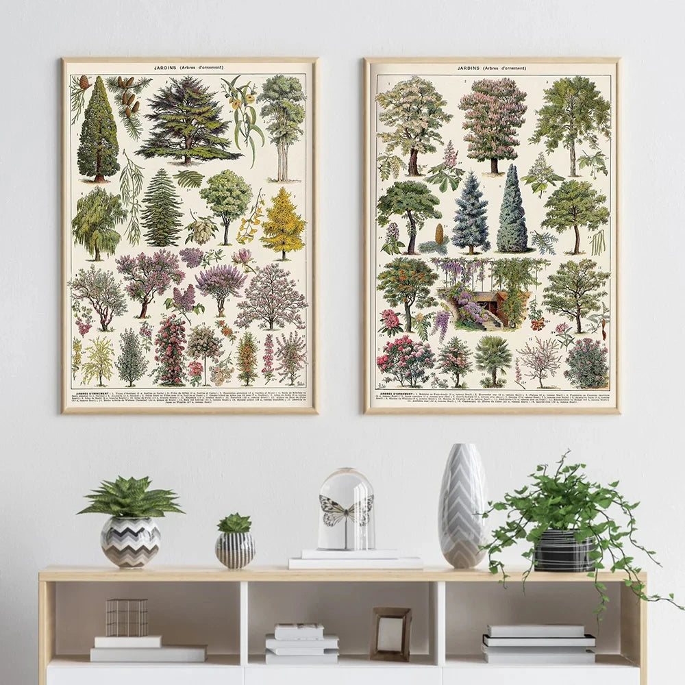 Vintage Botanical Encyclopedia Print — Mushrooms, Herbs & Trees