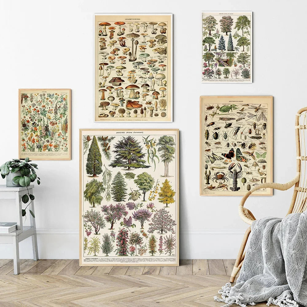 Vintage Botanical Encyclopedia Print — Mushrooms, Herbs & Trees